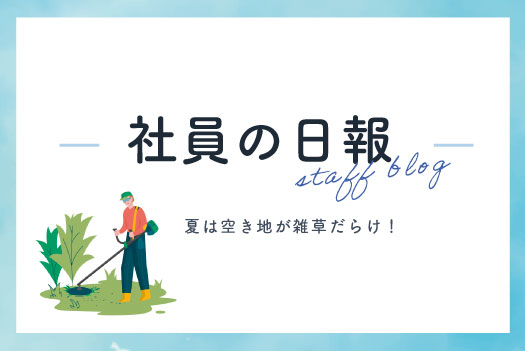 夏は空き地が雑草だらけ！