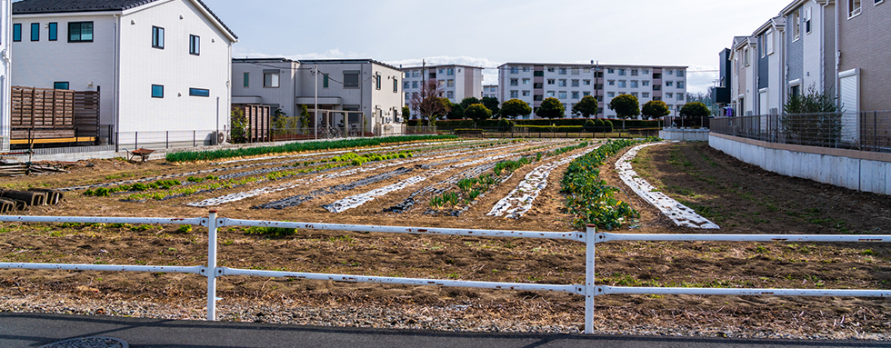 【熊本市編】取り扱いが難しい相続不動産でも売却に成功した事例