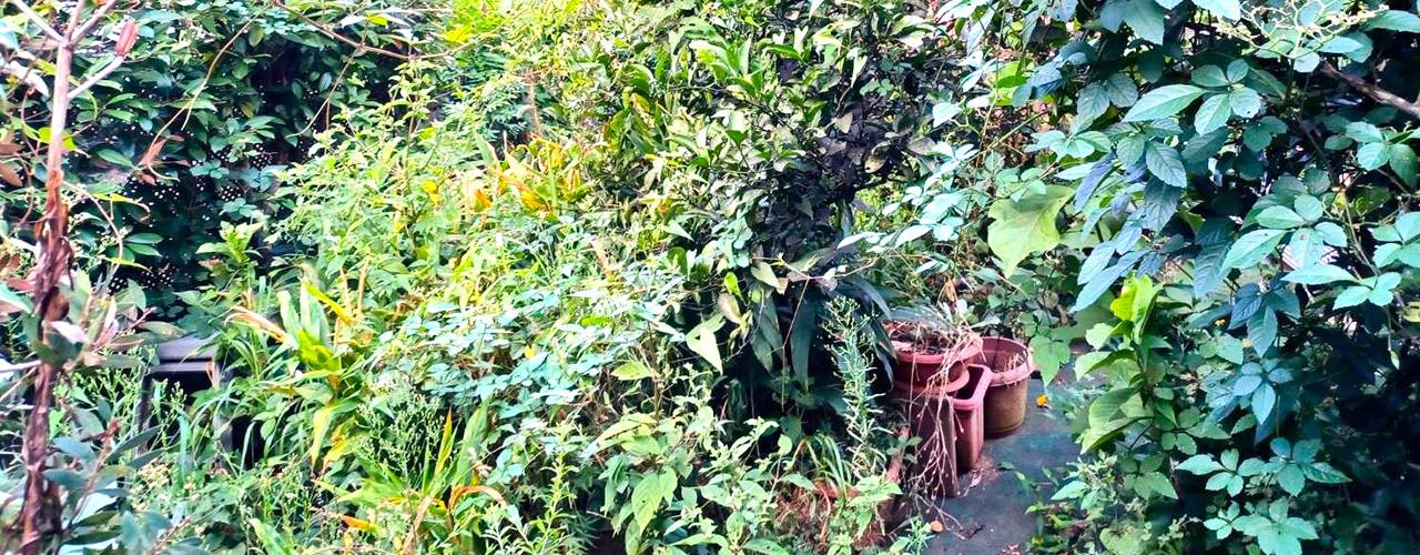 2.熊本市にお住まいのY様が、「近隣トラブルを避けるために空き家を早期売却した事例」