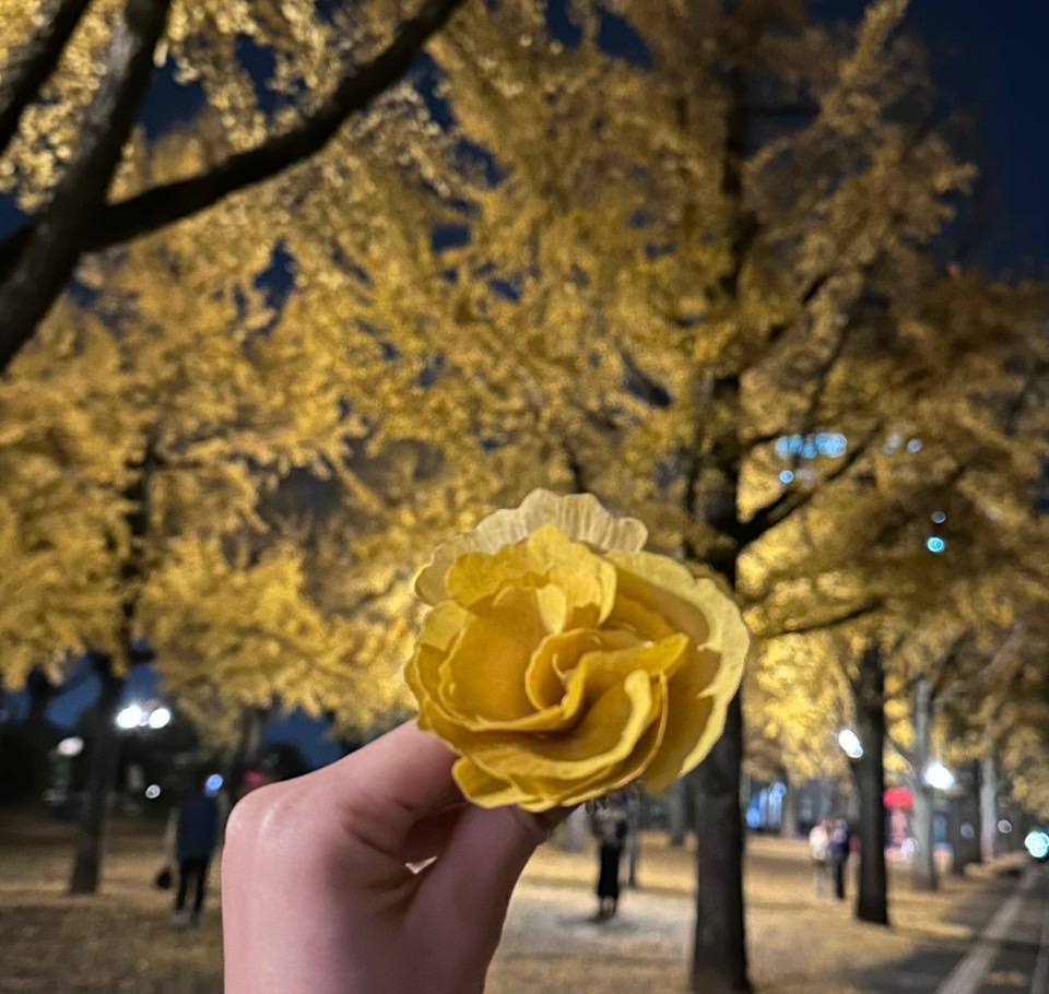 赤田の日報です🌸会社のSNS始まります♪